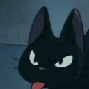 shrimplinator avatar