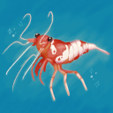 shrimply-digital avatar