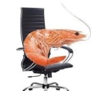 shrimps-hoard avatar