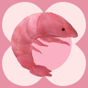 shrimpsface avatar