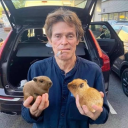 shrimpsonshoop avatar