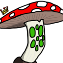 shroomiesandgroovies avatar