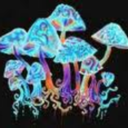 shroominpodperson avatar