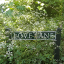 shroomt-t-tripper avatar