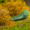 shroudcryptid avatar