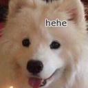 shroudedshadows avatar