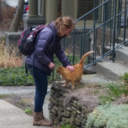 shufflingbeans avatar