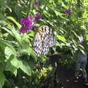 shugarbitch34 avatar