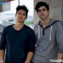 shumdariotheories avatar