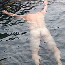 shunshihiguchi avatar