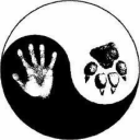 shurikthetherian avatar