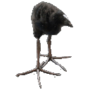 shut-up-and-eat-your-salad avatar