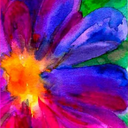 shutupandeatyourketchup avatar