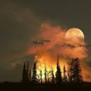 shuumatsudesu avatar