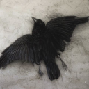 shvetslaica-blog avatar