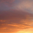 shxjxhsj-blog avatar