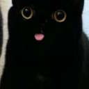 shxkespeares-sister avatar