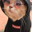 shy-and-bitch avatar