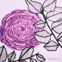 shy-beans-world avatar