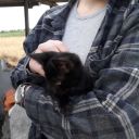 shy-blue-eyed-girl avatar