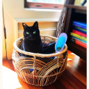 shy-but-swears-a-lot avatar