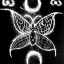 shy-nightmare avatar