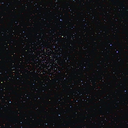 shy-strange-manic avatar