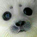 shy000boy-blog avatar