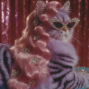 shybanananacho avatar