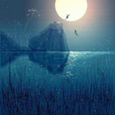 shydreamdeputydiplomat avatar