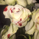 shyminx avatar