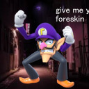 shymuffinwolfrebel avatar