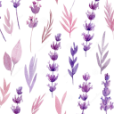 shypiratedelusion avatar