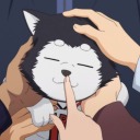 shyprunemakerlawyer avatar