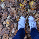 shysocialbutterfly avatar