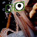 shytrash-blog avatar