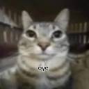 siap-metichon avatar