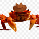 siblingsandcrabs avatar