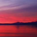 sibunaforver14 avatar