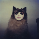 sickforsomething avatar