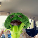 sideblogformyfaves avatar