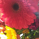 sideblogforsadself avatar