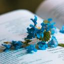 sidebyside-withafriend avatar