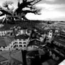 sidenotes-etc avatar