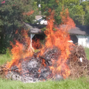 sidthesquid10 avatar