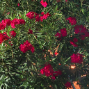 siempre-hay-un-plan-b avatar