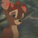 siempre-por-ahi avatar