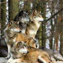 sierra-mist8363-blog avatar