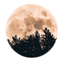 sierrasonnets avatar