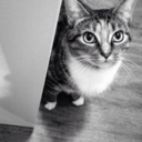 sierratherobot-blog avatar